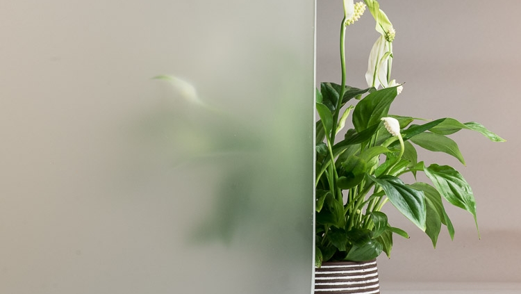 شیشه سند بلاست